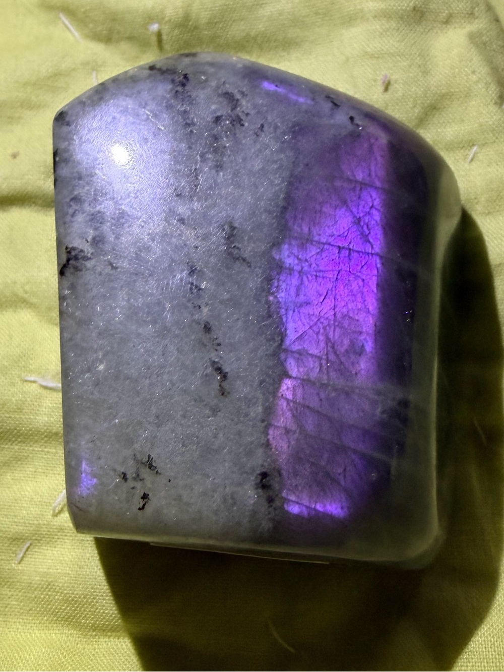 2.45 Inch Purple Sunset Lab - Picture 2 of 2